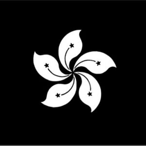 車旗 Car Flags